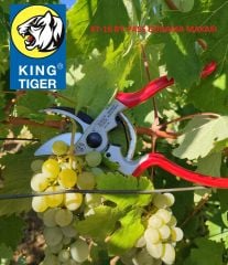 King Tiger Kt-16 Budama Makası Bypass (Üzümlü)